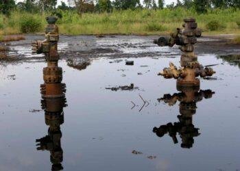 Eleme presents position on resumption of oil exploration in Ogoniland