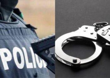 Police arrest 3 over brutal attack on NANS members in Ogbese