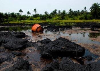 Pollution in Ogale: We 'll get victory against Shell-Paramount Ruler