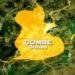 Eid-el-Fitr: Gombe Police confirms 2 dead, several injured