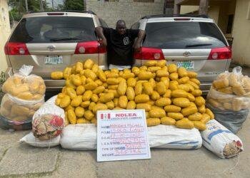 4 drug kingpins jailed for 95 years, forfeit luxury vehicles in major NDLEA crackdown