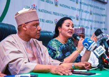 Nigeria’s 2025 budget set to deliver tangible economic gains –Uzoka-Anite