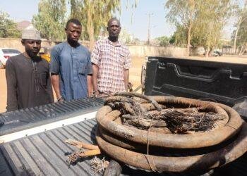 Police arrest 3 suspects for vandalizing electrical cables in Adamawa