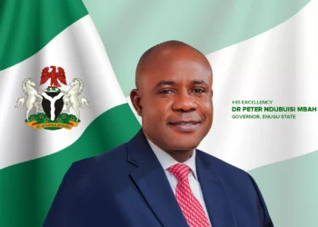 Enugu to launch 260 smart farm estates soon, commissioner reveals