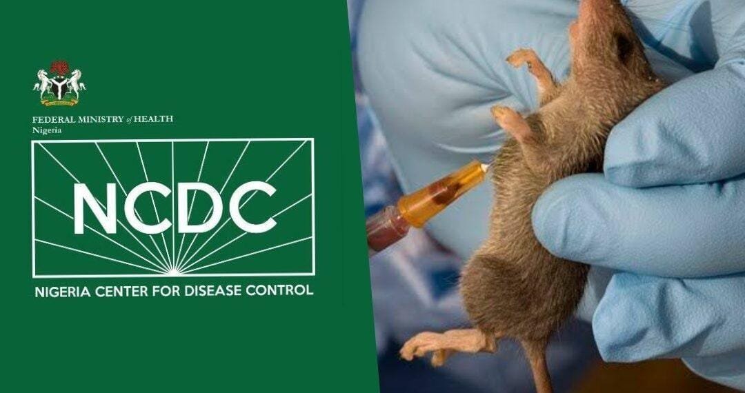 NCDC confirms 506 lassa fever cases, 95 deaths across 12 states