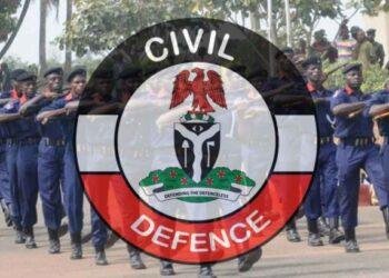 NSCDC, SON join forces to wipe out substandard products in Anambra