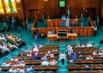 Reps extend deadline for submission of states, LGs creation proposals