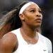Serena Williams becomes part owner of basketball club in Canada