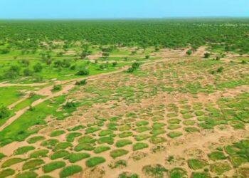 Body calls for submissions of advocacy projects on environment