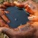 Nigeria has lost 13m barrels of crude to oil spills since 1958, expert says