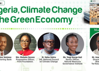 How Young Leaders Are Fueling the Green Economy Revolution