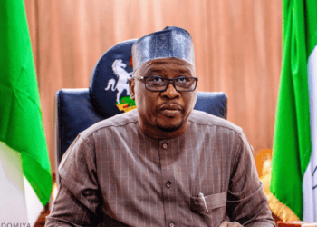 2027: Adamawa in search of a grassroots politician