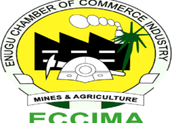 Enugu Chamber of Commerce seeks removal of bottlenecks hindering SMEs accessing funds