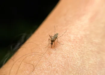 Malaria is caused by mosquitoes breeding in dirty environment not by witchcraft, says commissioner