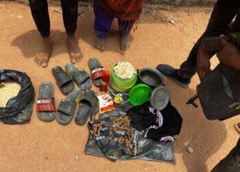 Police rescue 2 abducted students of Federal University of Lafia