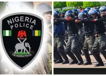 Police inaugurate school protection squad in Delta