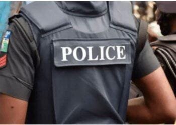 Adamawa police arrest 148 suspects, recover arms