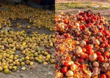 NASS pledges funding to tackle post harvest losses