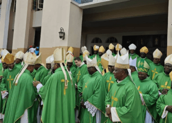 Peter Cardinal Okpaleke: The only Nigerian eligible to vote in next Papal Conclave – CBCN confirms