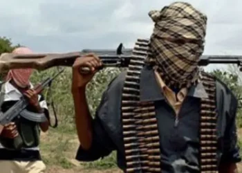 Ebonyi Female Development Centre coordinator abducted by gunmen