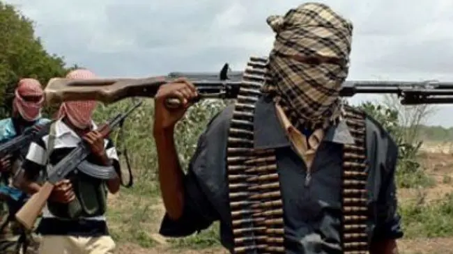 Ebonyi Female Development Centre coordinator abducted by gunmen