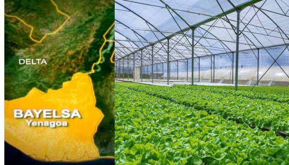 Bayelsa Govt launches empowerment program for Soilless Farmers