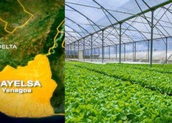 Bayelsa Govt launches empowerment program for Soilless Farmers