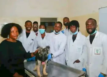 Veterinary institute inducts 96 para-veterinary graduates in Enugu