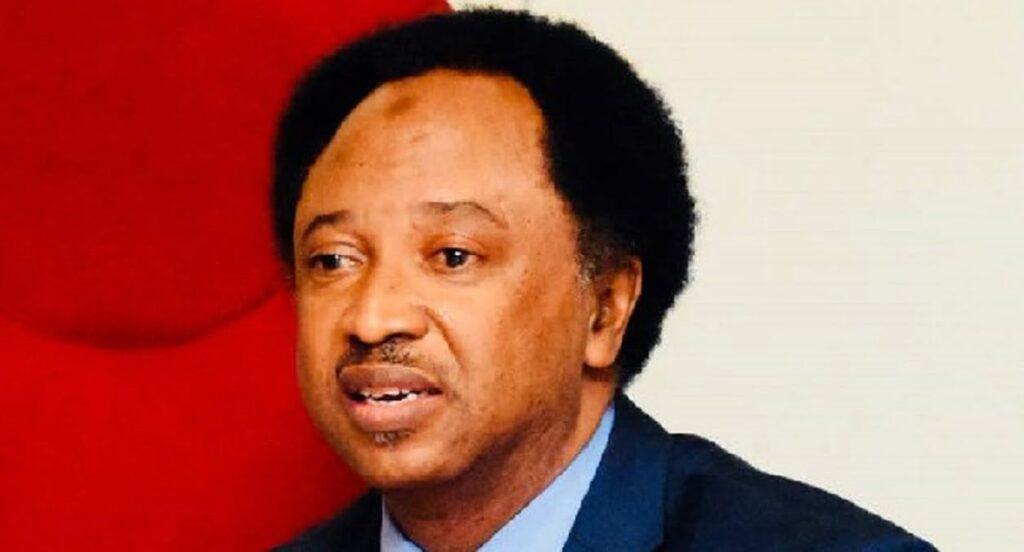 Shehu Sani turns down Miss World pageant judge appointment