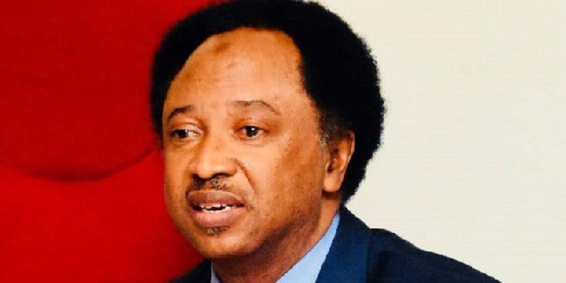 Shehu Sani turns down Miss World pageant judge appointment