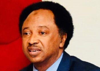 Shehu Sani turns down Miss World pageant judge appointment