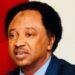 Shehu Sani turns down Miss World pageant judge appointment