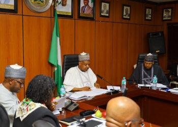 Census committee to focus on funding, feasibility—Minister Bagudu clarifies