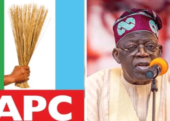 APC chieftain hails Tinubu's game-changing policies