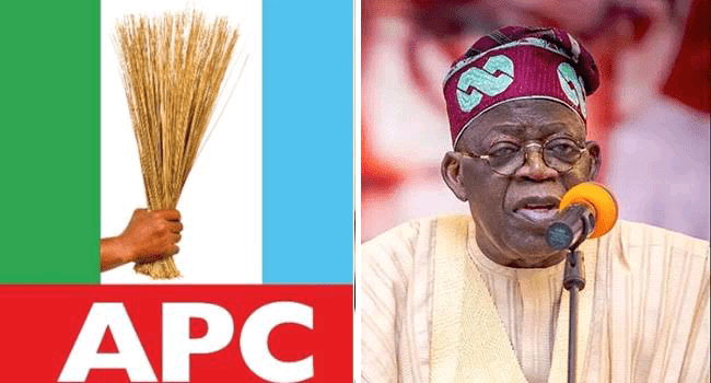 APC chieftain hails Tinubu's game-changing policies