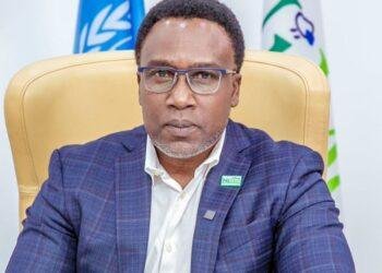 NiMET chief executive Anosike appointed head of sub-regional body