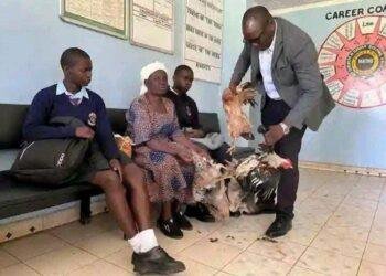 Kenyan Grandmother pays School Fees with 6 live Chickens after granddaughter was sent home