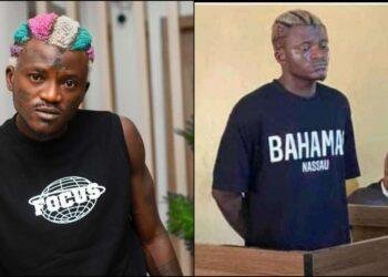 Court sentence Portable to three months imprisonment