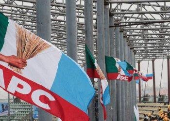 Yobe APC chairman leads delegation to national summit