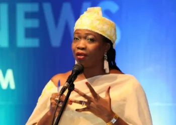 Dabiri-Erewa calls for reinforcing regular migration pathways at Abuja conference