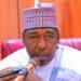 Gov. Zulum condemns surge in Boko Haram, ISWAP attacks in Borno
