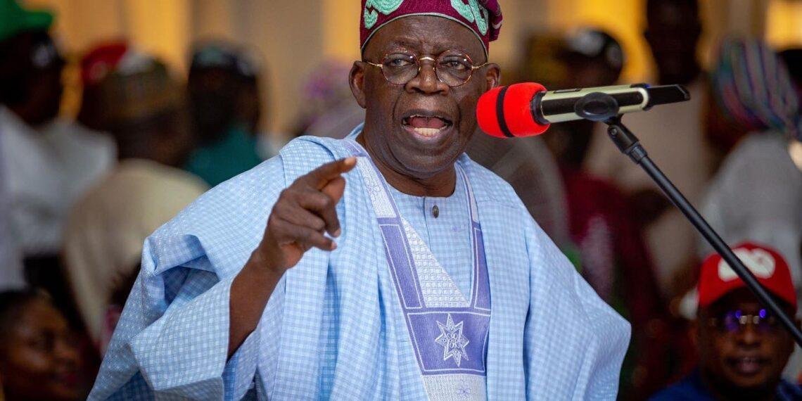 My administration has made progress after 2 years in office - Tinubu