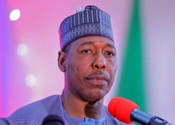 Zulum to Power Minister: Treat energy as a social service, not as commodity