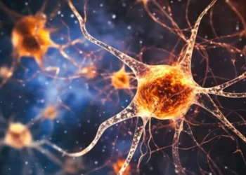 Breakthrough Discovery: Brain Cell Astrocytes key to treating depression, schizophrenia