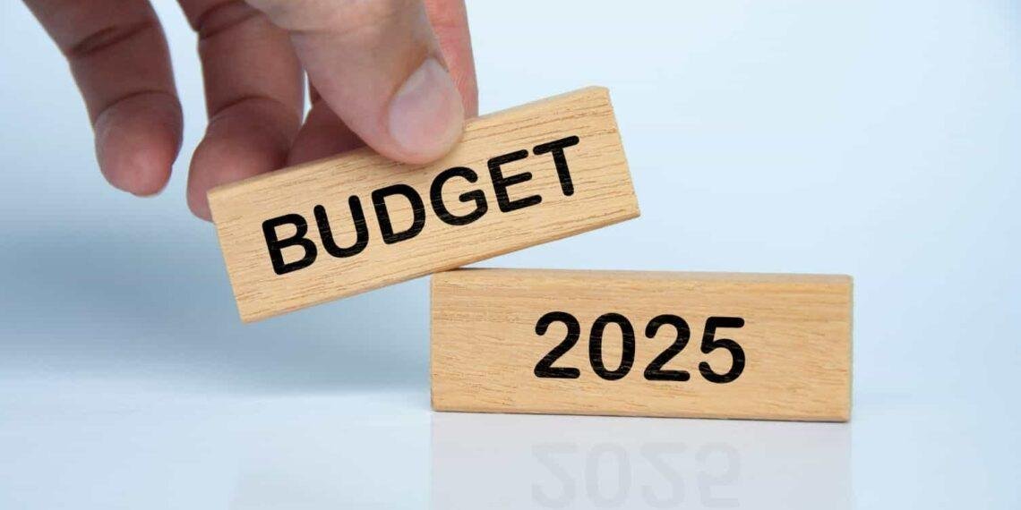 Delta won’t borrow to fund 2025 budget, says finance commissioner