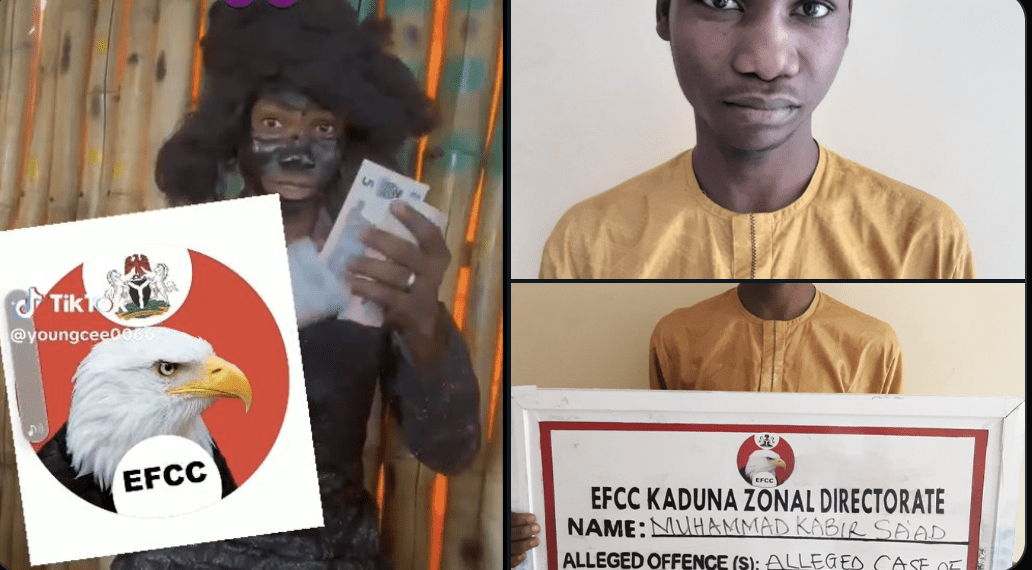 Kaduna Court sentences TikToker for Naira abuse