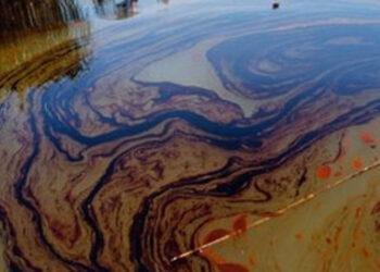 Oil spill ravages Ikata Community in Rivers