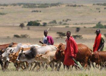 FG, Benue Government launch joint security plan to end Herders’ attacks