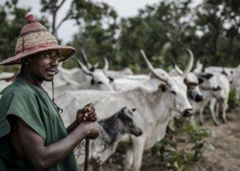 Etche residents lament menace of herders, seek govt intervention