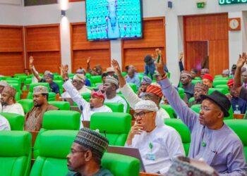 House of Representatives withdraws mandatory voting bill after national backlash, stakeholder consultations